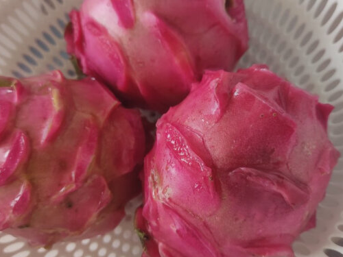 吃火龙果可以治疗便秘吗